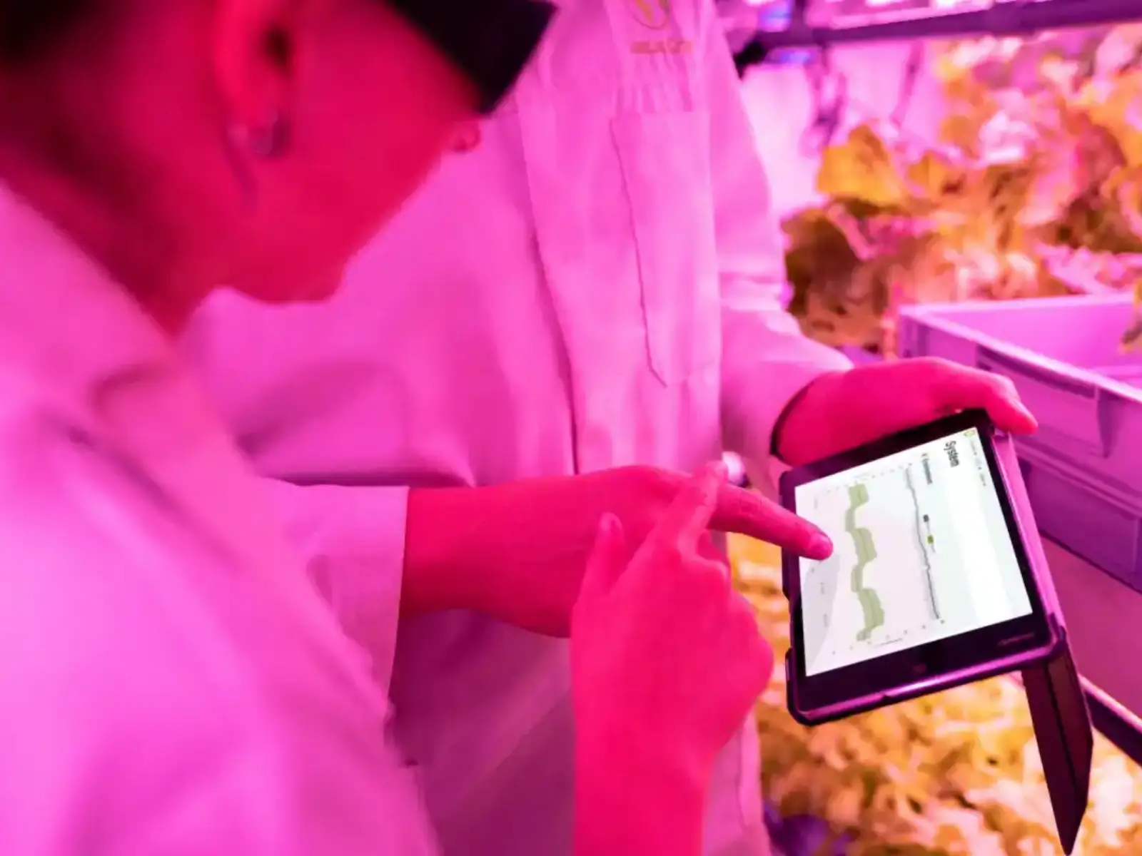 Indoor Farm Monitoring & Automation System
